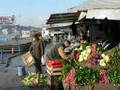 367 kere Türkiyem - www.367.de.tl -