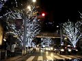 MOV00176 MOV00176