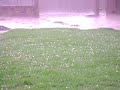 chuva de granizo em tangara da serra ( tga )