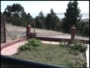 Huidobro y otras hierbas parte 1