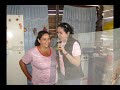 tropicucuta-mercados fase II