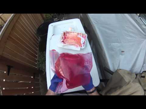 how to cure eggs with borax o fire