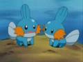 Crimson Mudkips