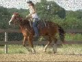 Play Box - OWN son of SR INSTANT CHOICE!!  dead broke!