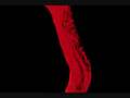 Eurodancer (Vivid Image remix)