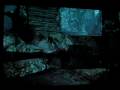 videos de Tomb Raider Underworld Bug
