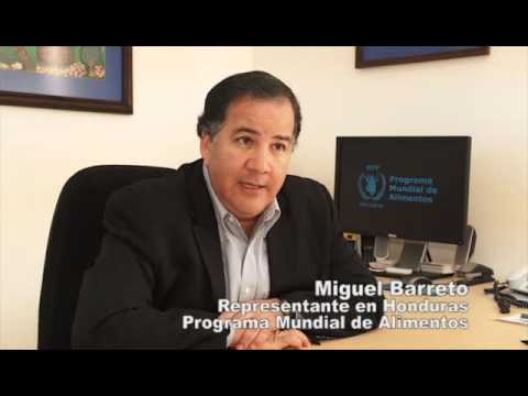 p4p_en - En Honduras, el programa Compras para el Progreso (P4P) ha logrado sacar a muchos pequeños agricultores de la pobreza y aumentr su producción de alimentos. G...