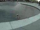 bakflip bakflip