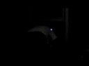 Deadlights