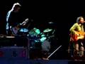 Wilco at Alderney Landing