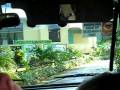 videos de GSP chhs