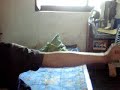 ngeseks ama pembokat