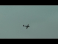 Warbird