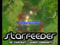 Can't wait for Starcraft 2?