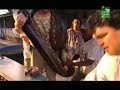 weighing green anaconda weighing green anaconda