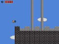 Re: Nikujin Speedrun (5min36sec, no deaths)