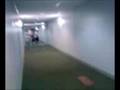 Ultimate Sunburned Frisbee in A Hotel Hallway