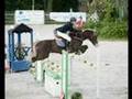 Havane Welsh