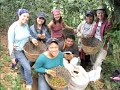 Students Highlight Service Learning