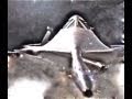 World's Fastest Airplane, SR-71