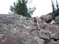 Hike at Fish Creek Falls (Steamboat Springs, Colorado)