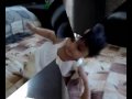  - MovieZen Video