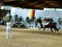 LM Zaisenhausen 2008-Claudi Reule LM Zaisenhausen 2008-Claudi Reule
