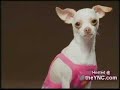 How To Treat CED (Canine Erectile Dysfunction) How To Treat CED (Canine Erectile Dysfunction)