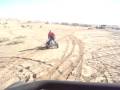 MOV02904.MPG