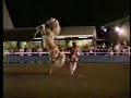 Arabian Father & Son Perform