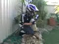 pelican MX