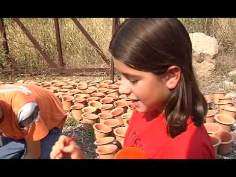 Tanit didàctica i difusió cultural - Tanit didàctica i difusió cultural -