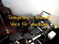 ABANDON ALL SHIPS Pedestrians is Another Word For Speedbump