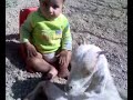 children love to play 