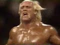 Hulk Hogan-Lay Low