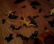 TOY WAR
