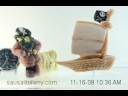 Time Lapse of Grow a Pirate Adventure