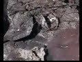 Incendio di rifiuti ingombranti a Serramezzana (SA)