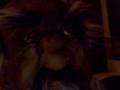 videos de COLE IS COOL
