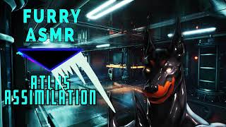 ATLAS ASSIMILATION: Doberman Drone Assimilates You Into Its Collective [FURRY ASMR]