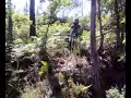 bike rio de pigeiros