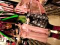 LOL @ Cybergoth in Victoria's Secret