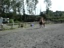 Monica Maggie Hunter and Haley jumping bareback