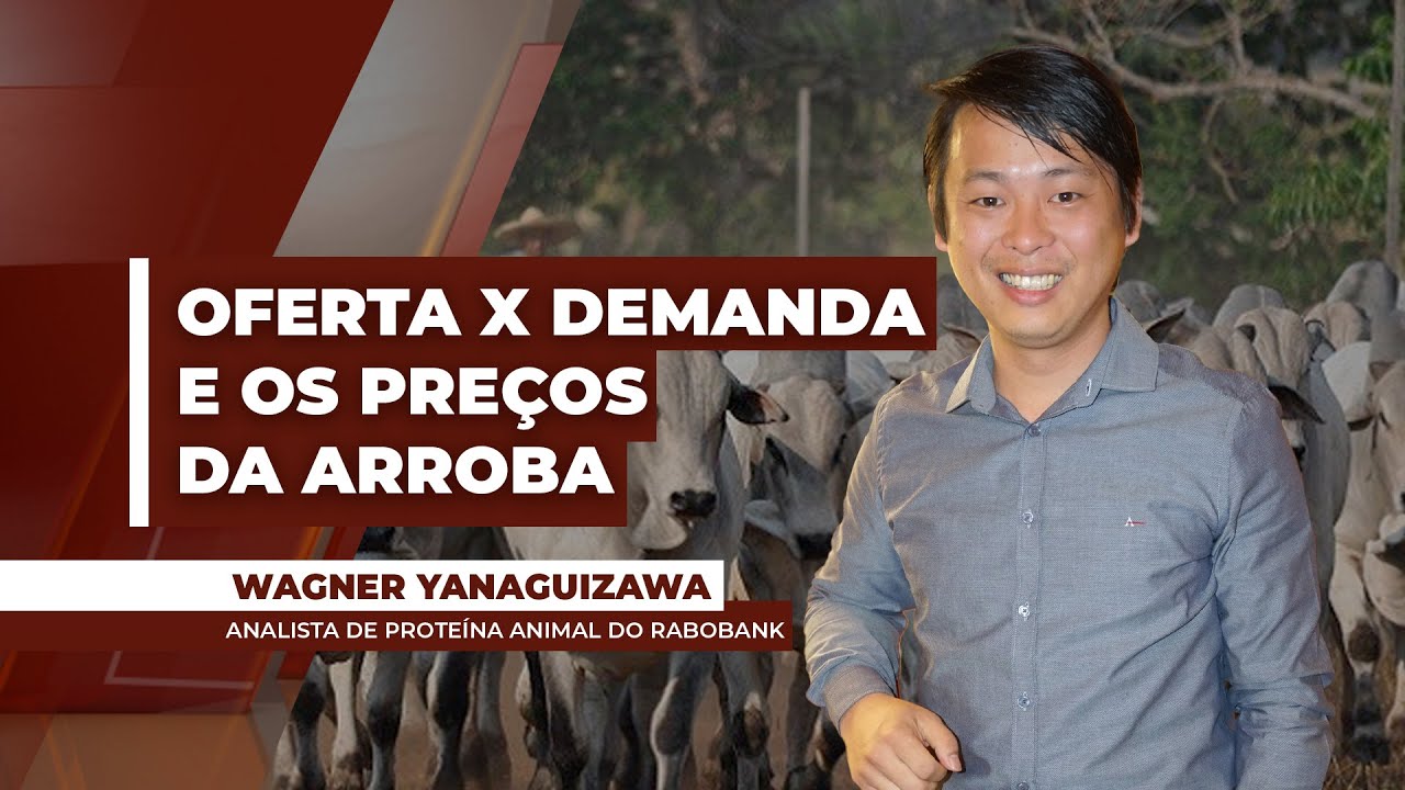 Demanda incerta e expectativa de maior oferta trazem cenário de maior risco para arroba