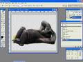 Image Extracting in Photoshop