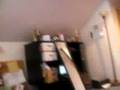 videos de Napsack vlogs solo