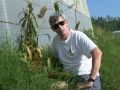 An efficient method to avoid poaching of rare wild plant populations is the artificial propagation of 