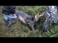 Newfoundland Moose Hunting