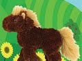 The Whole Webkinz Collection!