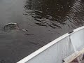 The Fishin\ The Fishin\